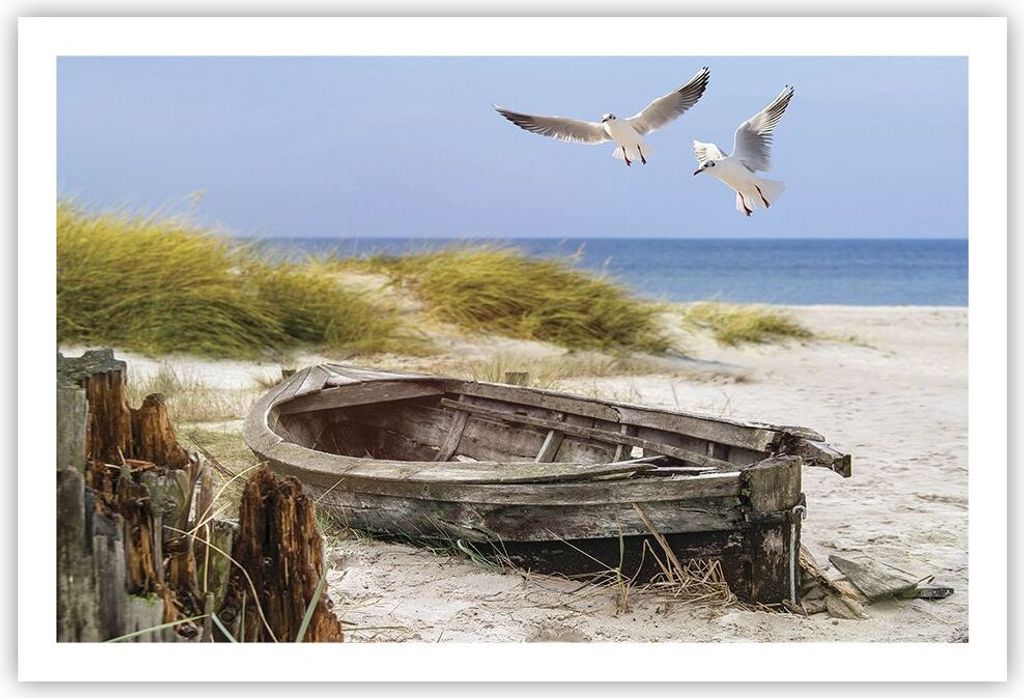 Poster - Poster ohne Rahmen - Strand Möwen £ódŸ - 91,5x61 cm - Wand Bild - Wanddeko - Wandbilder - Kunstposter - Wandposter - Bilder - Kunstdru...