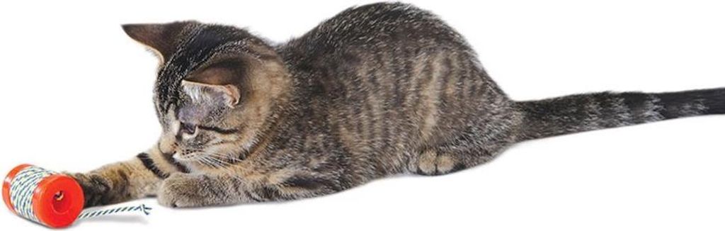 Petstages Katzenspielzeug Orkakat Catnip Spool orange
