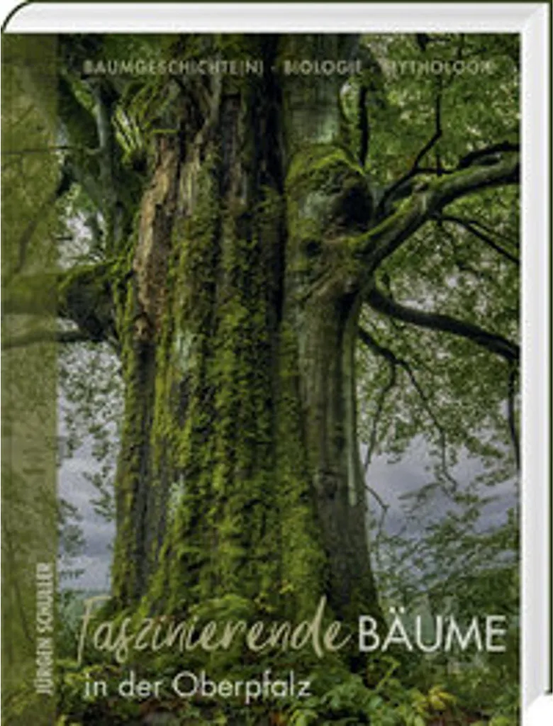Livre Arbres Fascinants Oberpfalz : Photographies Nature HD et Art