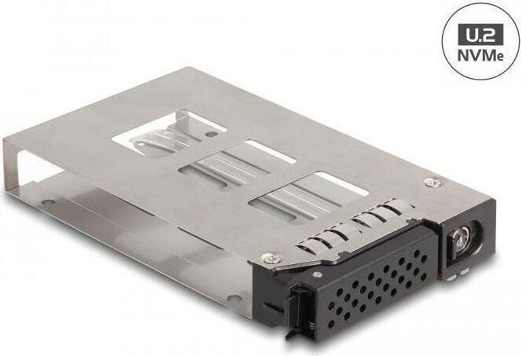 DELOCK Wechselrahmen Einschub 1 x 2.5 U.2 NVMe SSD