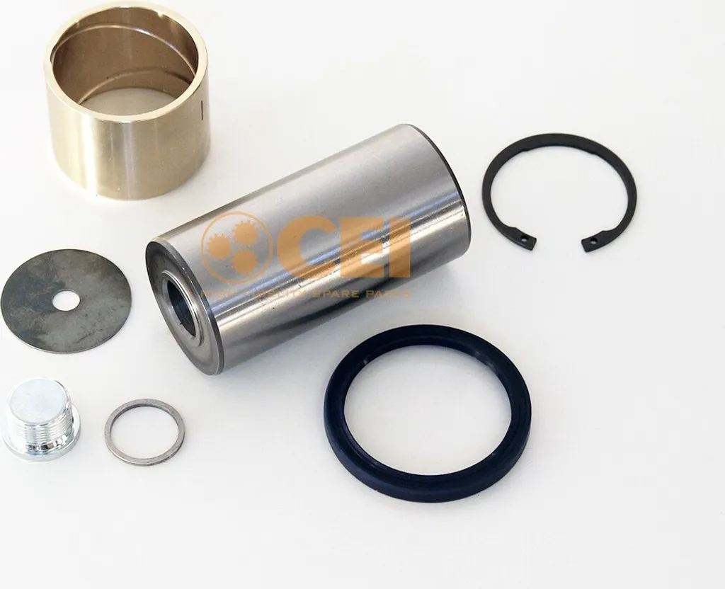 Kit de Réparation Pivot de Fusée pour Essieu Mercedes Actros 1995g