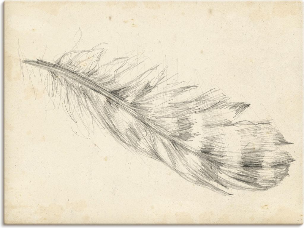 ARTland Leinwandbild Federskizze II Größe: 80x60 cm