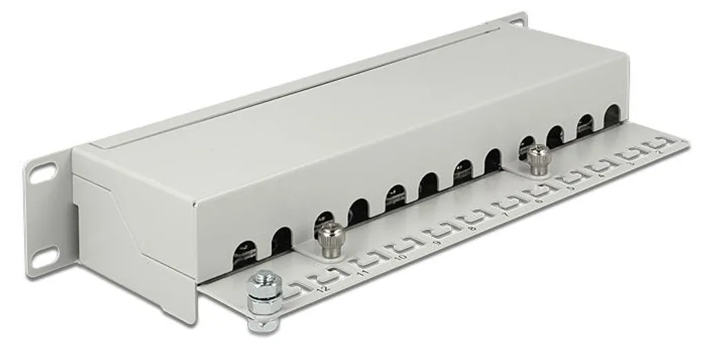 Panneau de brassage RJ45 12 ports Cat.6 pour coffret 10 pouces DELOCK Gris