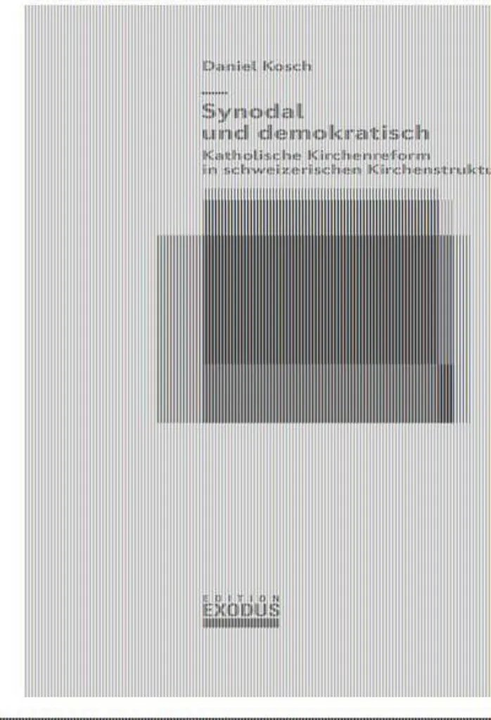 Livre de théologie Synodal und demokratisch pour comprendre la réforme