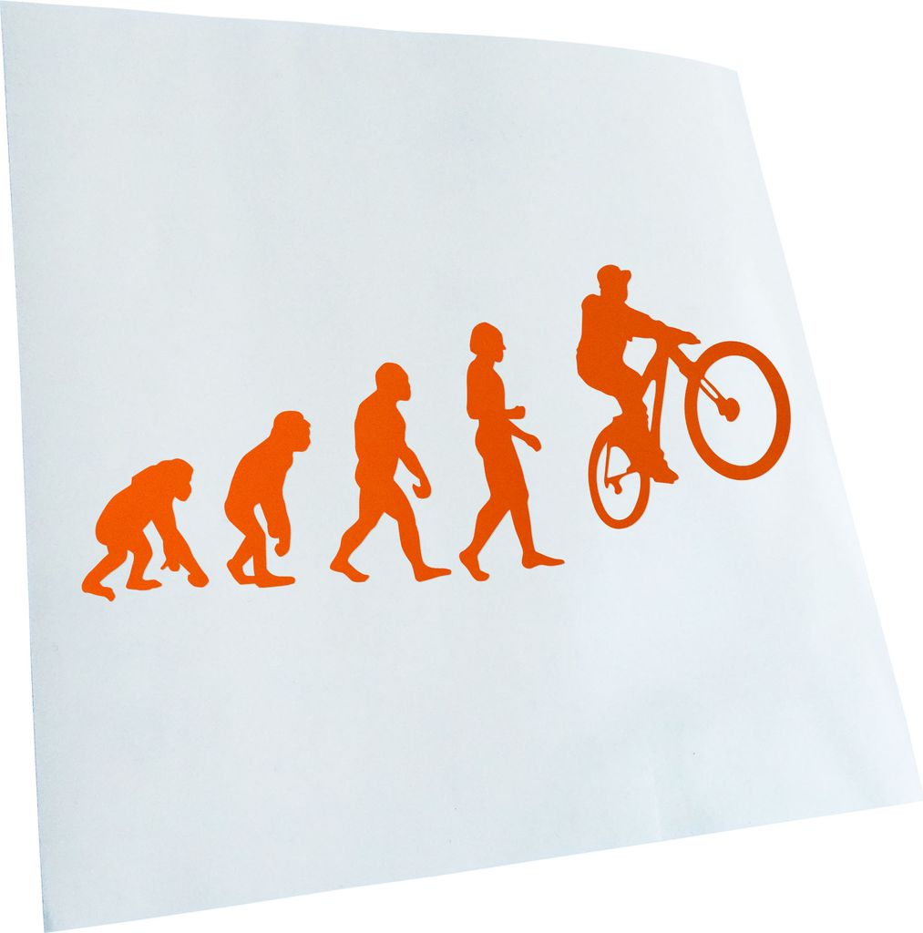 Kiwistar - Autoaufkleber - Evolution Mountainbike Radfahren Heckscheibenaufkleber - Aufkleber für Auto Kfz Fahrrad, LKW, Truck Mofa
