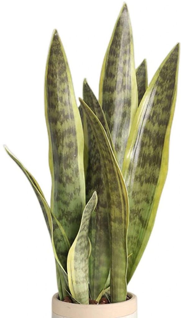 Unyqoos Set mit 3 Kunstpflanzen Sansevieria für stilvolle Innenraumdekoration im Büro und Zuhause