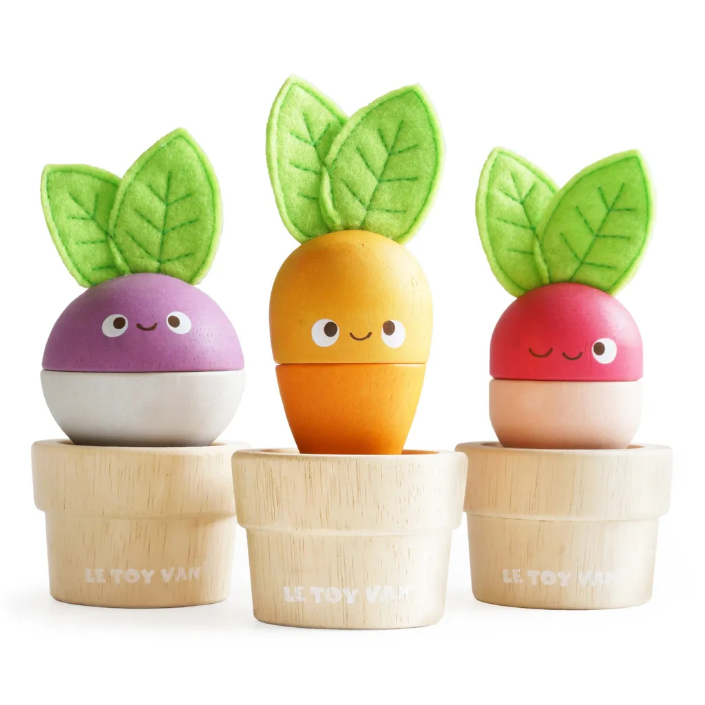 Jardin Potager Le Toy Van en Bois Durable : 3 Pots de Fleurs et Légumes