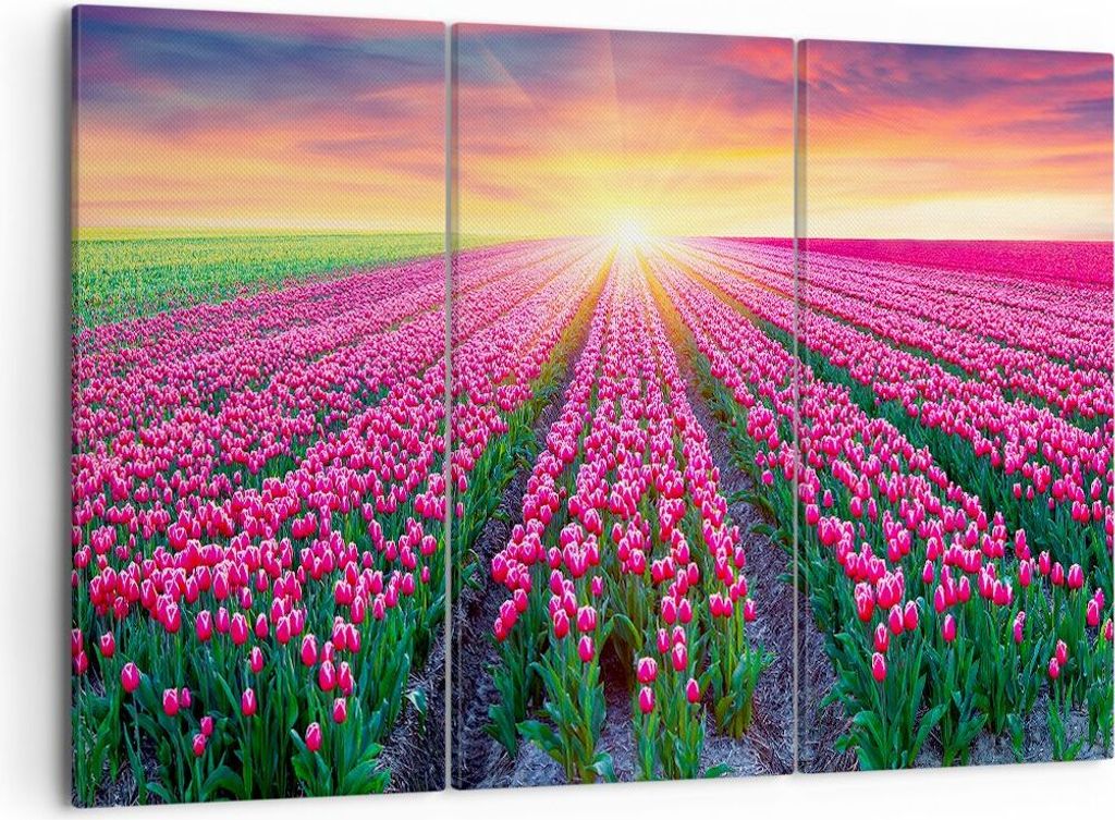 Bild auf Leinwand - Leinwandbild - Wiese Tulpen Produktbild 