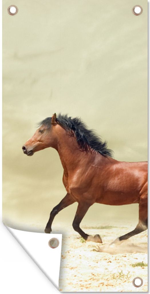 MuchoWow 80x160 cm Outdoor-Poster Gartendeko Sichtschutz Garten Poster für den Garten Pferd - Stoff - Sand
