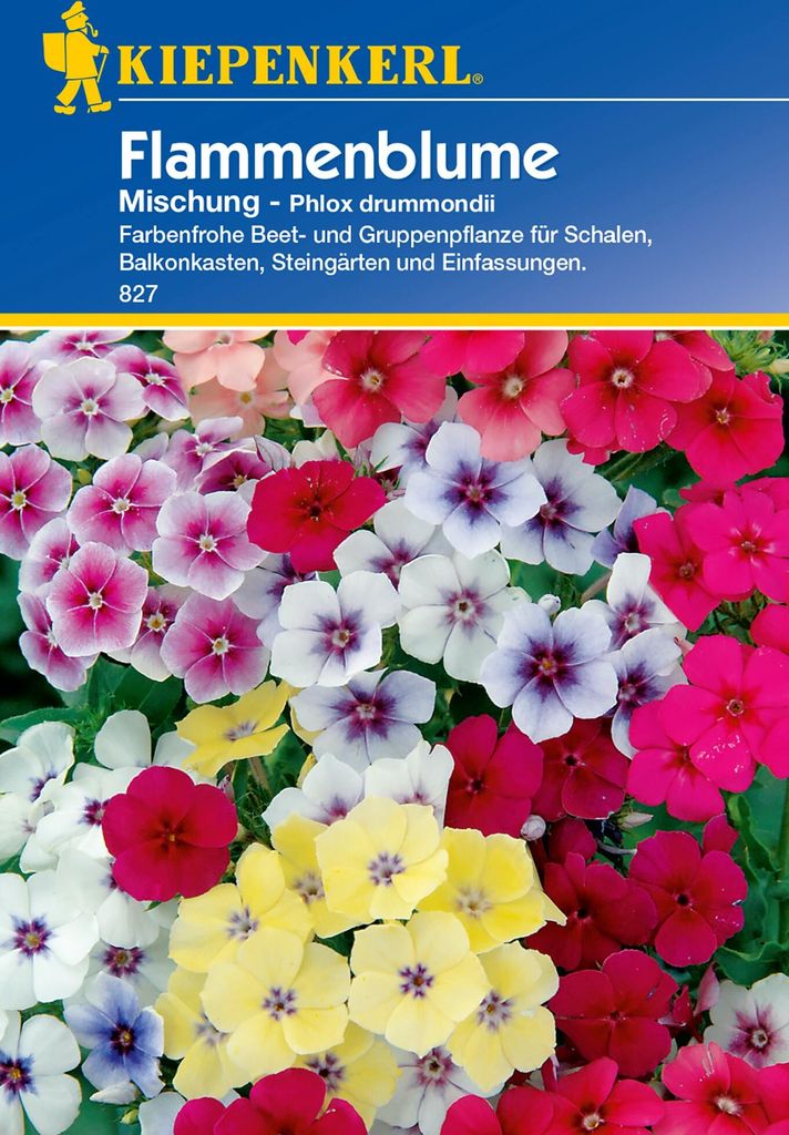 Kiepenkerl Flammenblumensamen Mischung Produktbild 