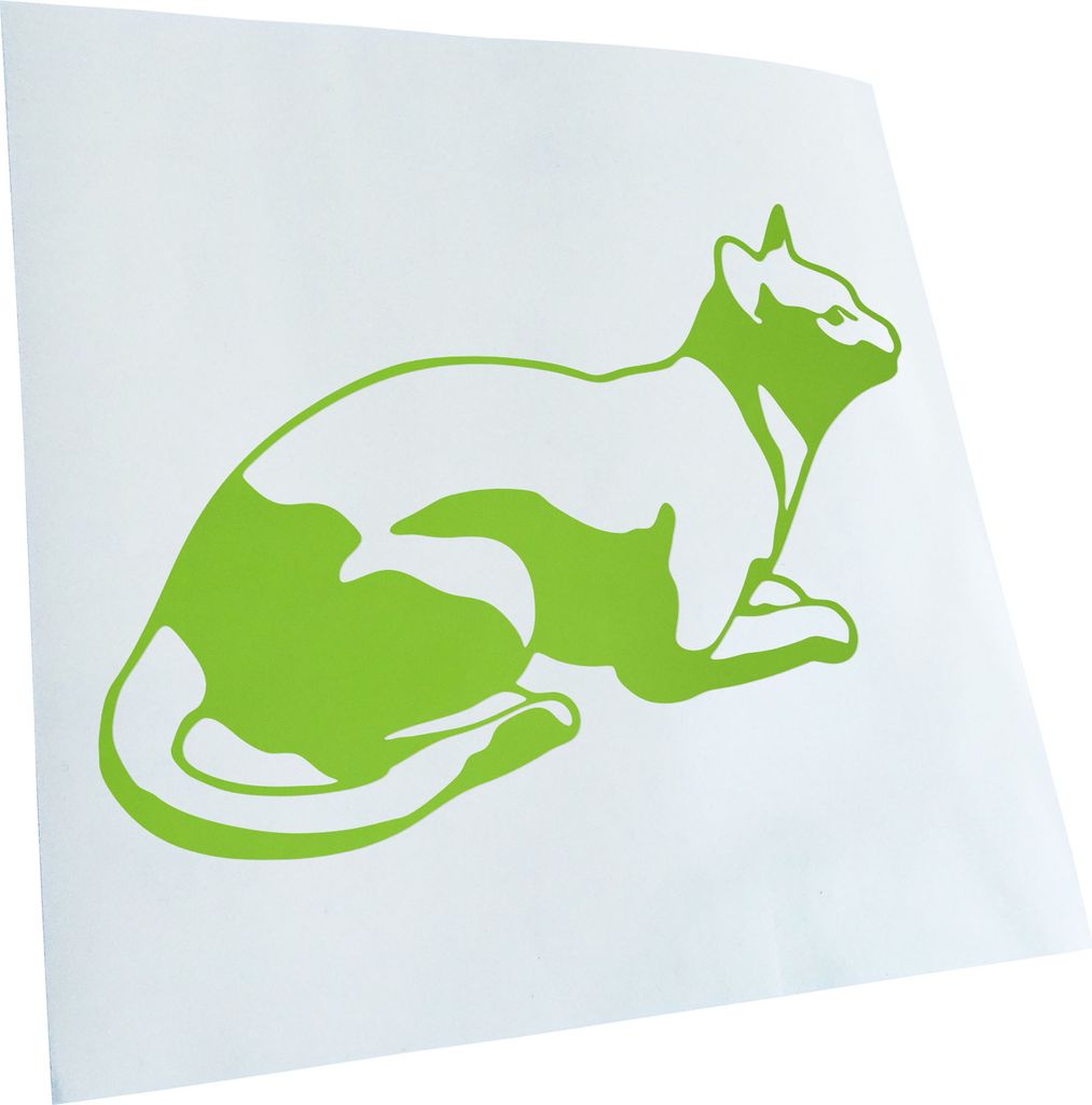 hauptsachebeklebt Kiwistar - Autoaufkleber - Katze liegend Cat Heckscheibe - Aufkleber für Auto Kfz Fahrrad, LKW, Truck Mofa