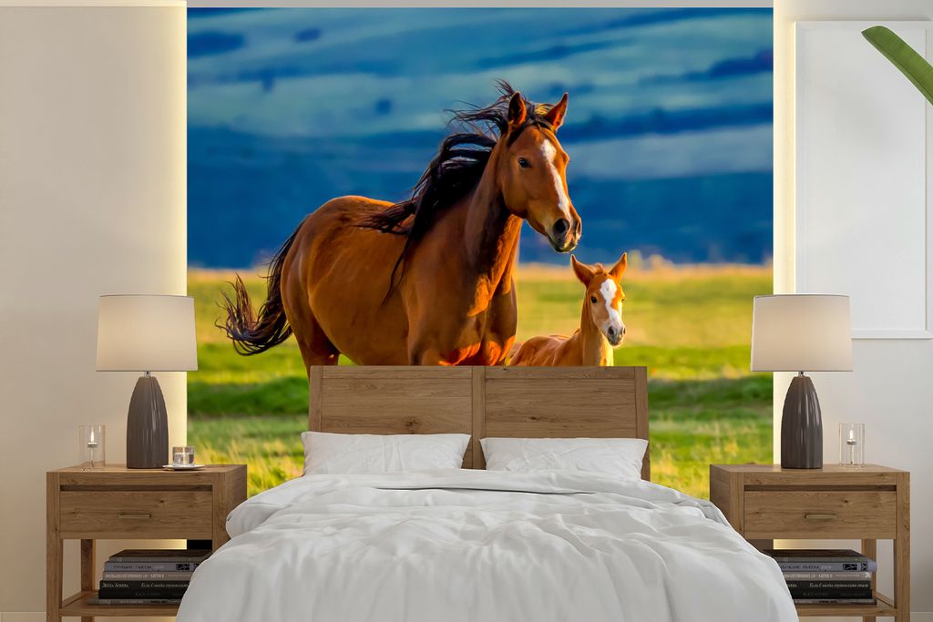 MuchoWow Fototapete für Wohnzimmer oder Schlafzimmer Wandtapete Vinyl Motivtapete Pferde - Gras - Tiere - Landschaft - Natur - 300x300 cm - Kind...