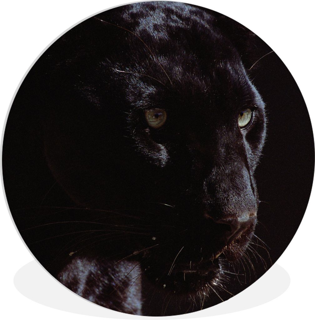 MuchoWow Rundes Wandbild - Runde Bilder Panther - Tier - Schwarz Ø 30 cm Kreis Wanddekoration Kunststoff - Wandkreis - Wandschmuck - Schlafzimme...
