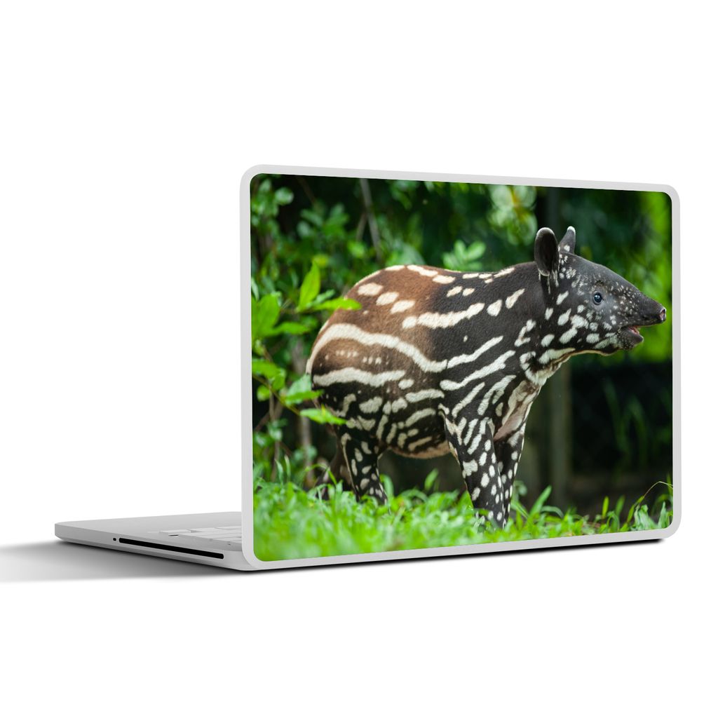 MuchoWow Laptop Aufkleber Sticker Cover Junger Tapir im Dschungel 40x30 cm - Laptop Dekoration - Selbstklebend