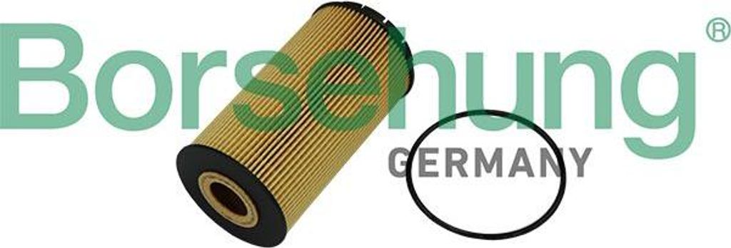 Borsehung B10518 Ölfilter OE 07C115562E kompatibel mit A8 4E, A8 4H, Phaeton, Touareg