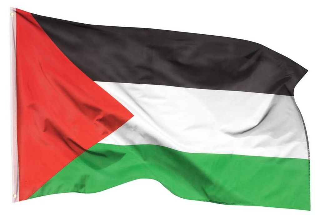 PHENO FLAGS Flaga Palestyny Gaza 90 x 150 cm Flaga Zdjęcie produktu 