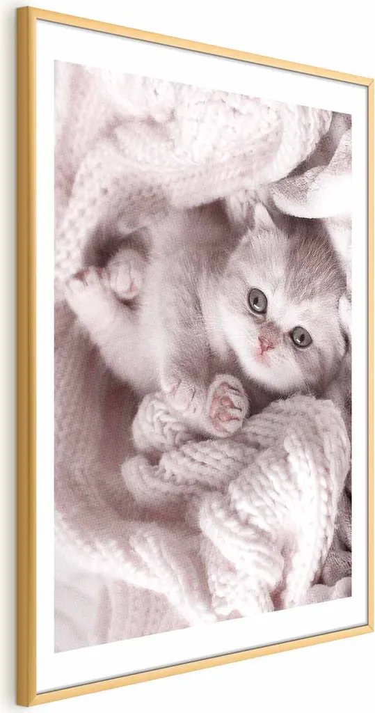 Micro Mattoncini Per Costruire Il Tuo Gatto Sphynx! Set 2-in-1 WKLJM-09, Divertente Kit Fai-da-te Per Adulti E Bambini