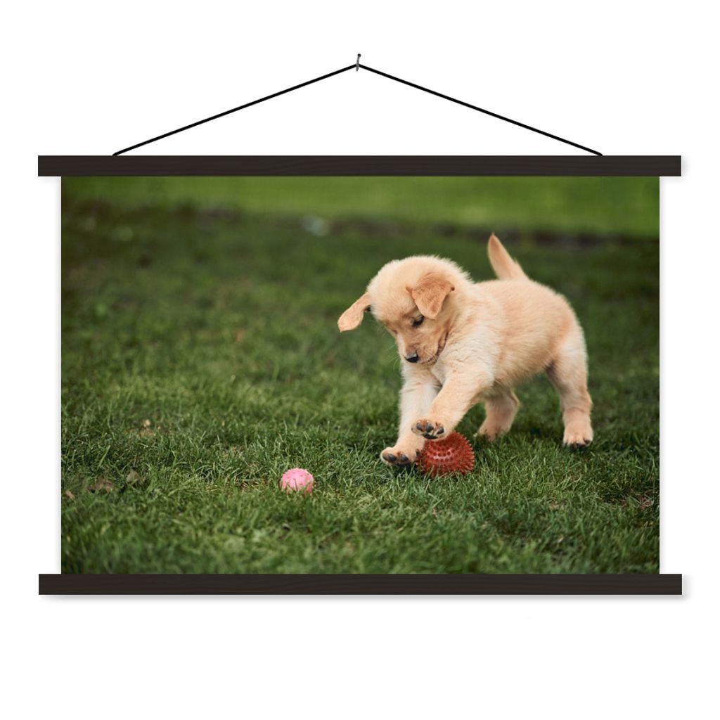 MuchoWow Textilposter Welpe spielt mit Ball 90x60 cm mit schwarzem Rahmen - Aufhängungssatz