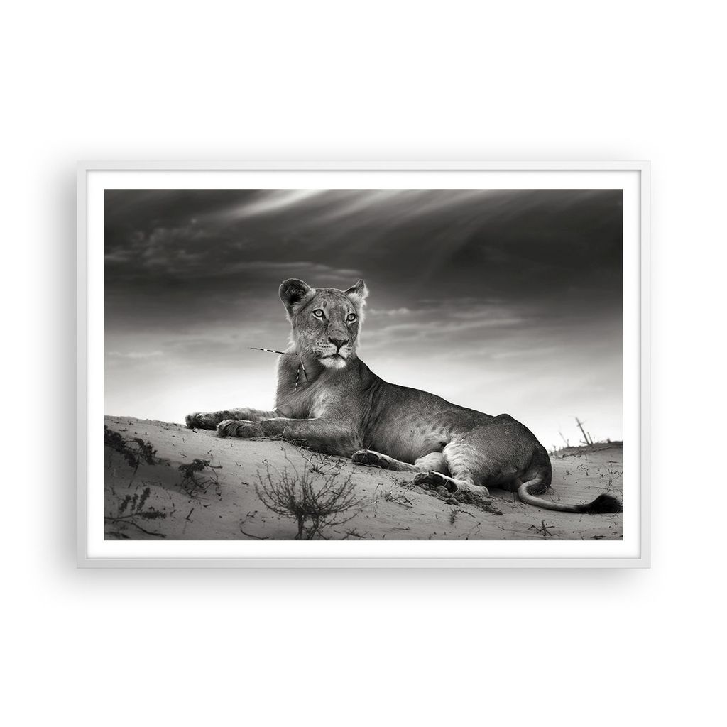 Gerahmtes Poster - Weißer Rahmen - Tierwelt weiblich katze Tier - 100x70 cm - Wand Bild - Wanddeko - Wandbilder - Wandposter - Bilderrahmen - Bild...
