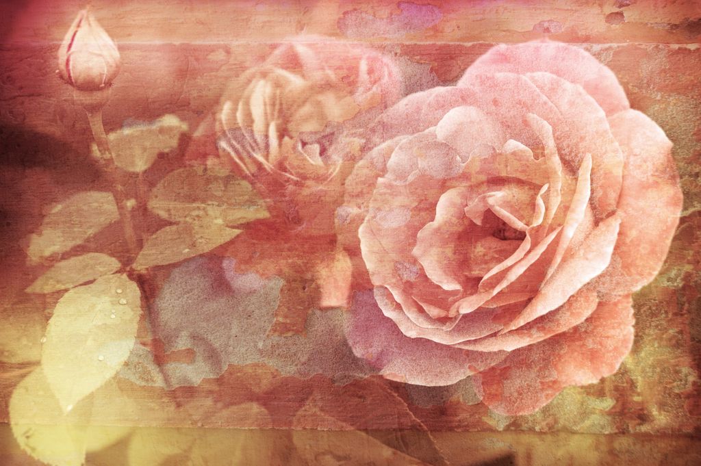 Papermoon VLIES Fototapete, Digitaldruck, Vintage Blumen (609)