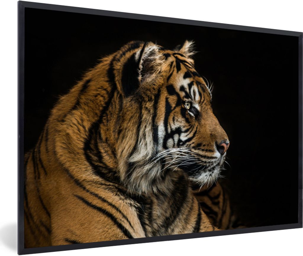 MuchoWow Gerahmtes Poster Tiger - Tierkopf - Schwarz 30x20 cm - Poster mit Schwarzem Bilderrahmen Wandposter Rahmen Foto Bilder - Kunstdruck - Bi...