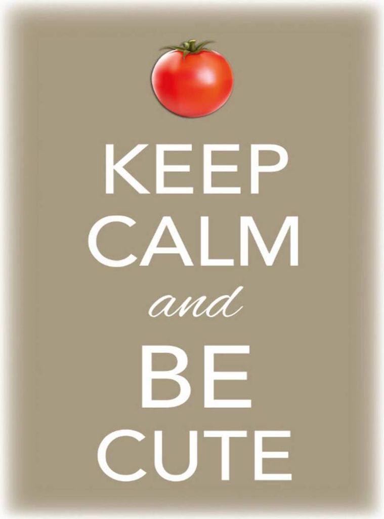 vianmo Holzschild 40x30 cm Keep Calm and be cute Tomate