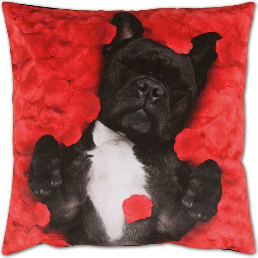 Kissenhülle 2er Pack Fotodruck ca. 40 x 40cm Hund Produktbild 