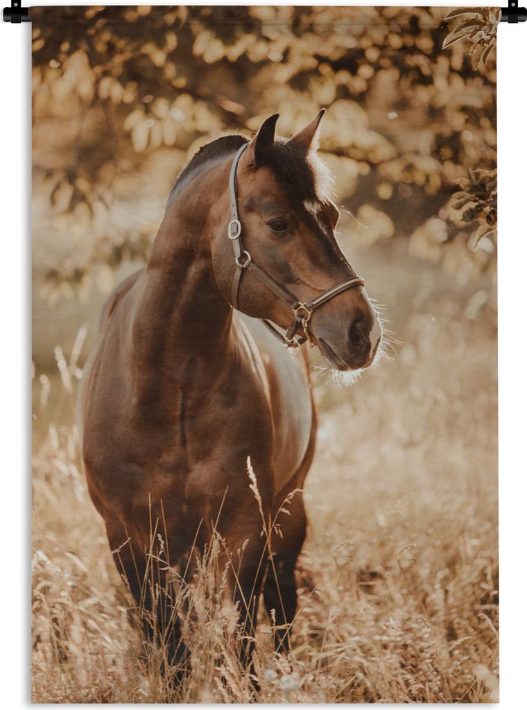 MuchoWow Wandteppich Wandbehang Pferd - Sonne - Porträt - Natur - Braun 60x90 cm Tapisserie Dekoration Wandtuch - Foto-Teppich - Abwaschbar