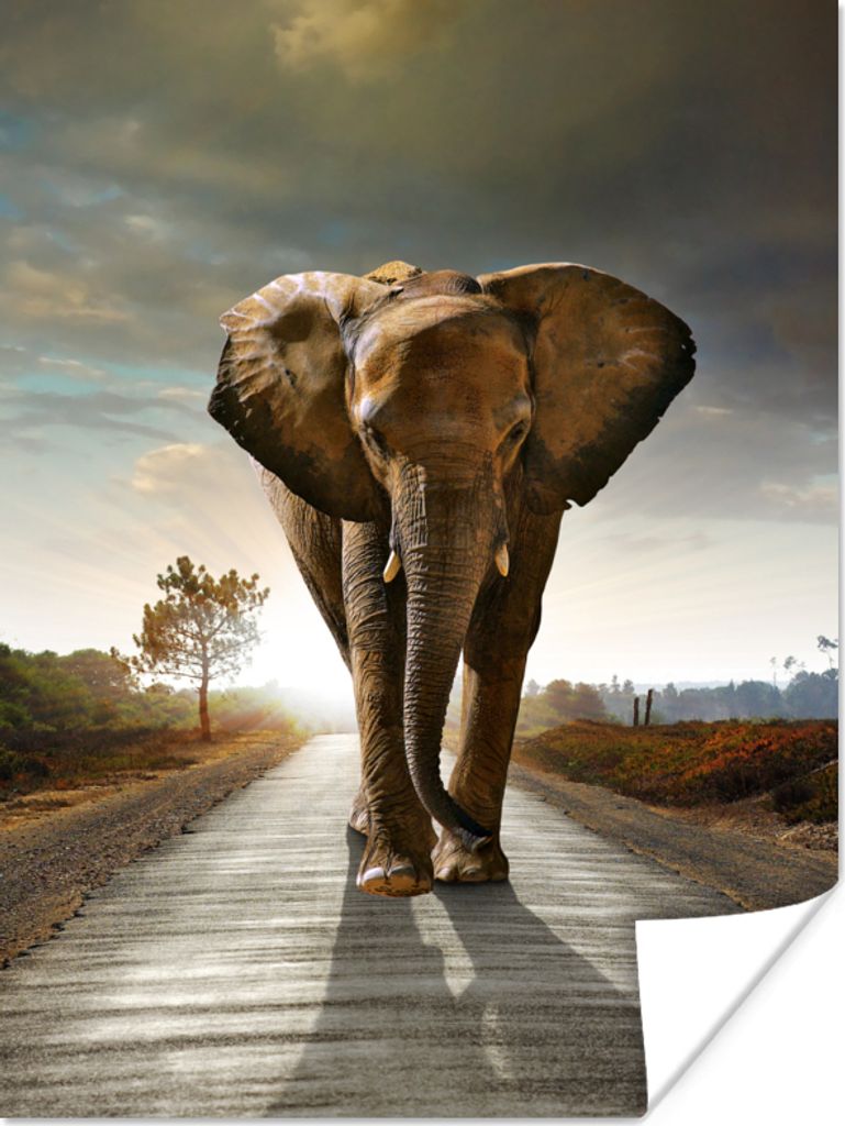 MuchoWow Poster Elefant - Straße - Tiere - Sonnenuntergang - Landschaft 30x40 cm - Wandplakat - Poster Kinderzimmer