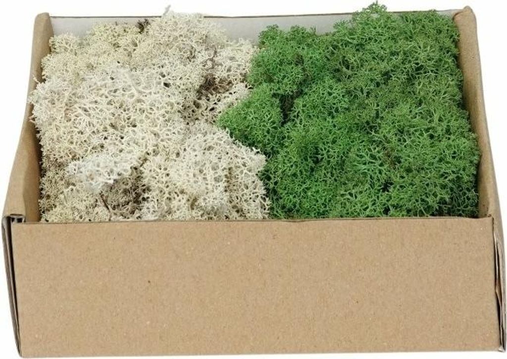 My Village | Rentier Moos Mix Dunkelgrün-naturell | 250G