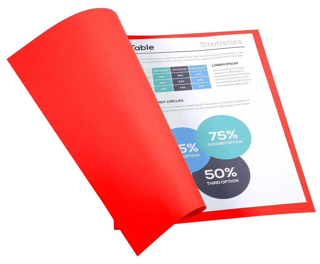 Classement A4 Efficace : 500 Chemises Rouge 24x32cm Recyclées - 4