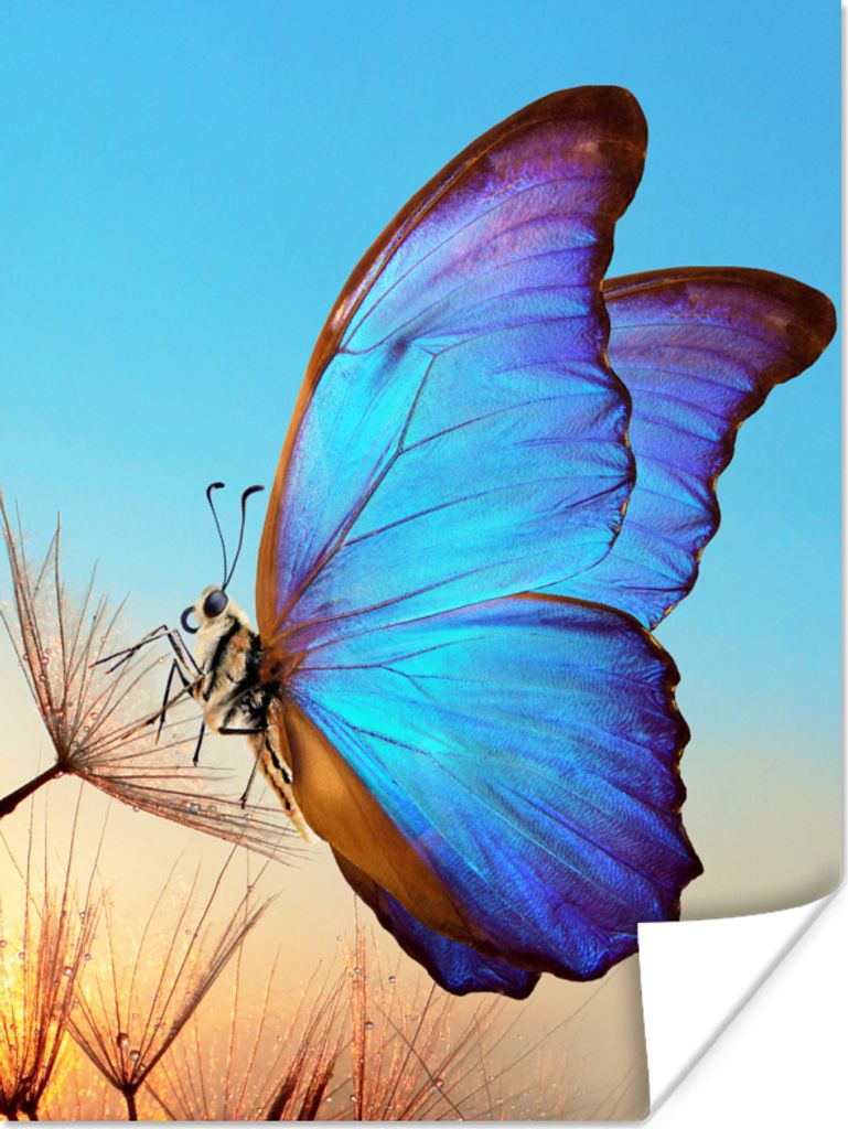 MuchoWow Poster Schmetterling - Löwenzahn - Blau 60x80 cm - Schlafzimmer Dekoration