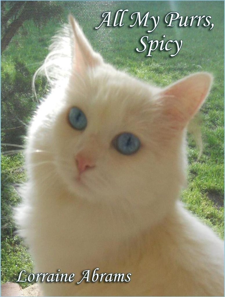 All My Purrs, Spicy