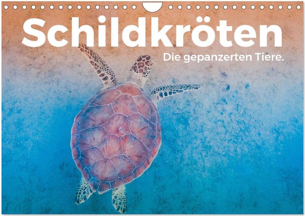 Schildkröten - Die gepanzerten Tiere. (Wandkalender 2026 DIN A4 quer), CALVENDO Monatskalender