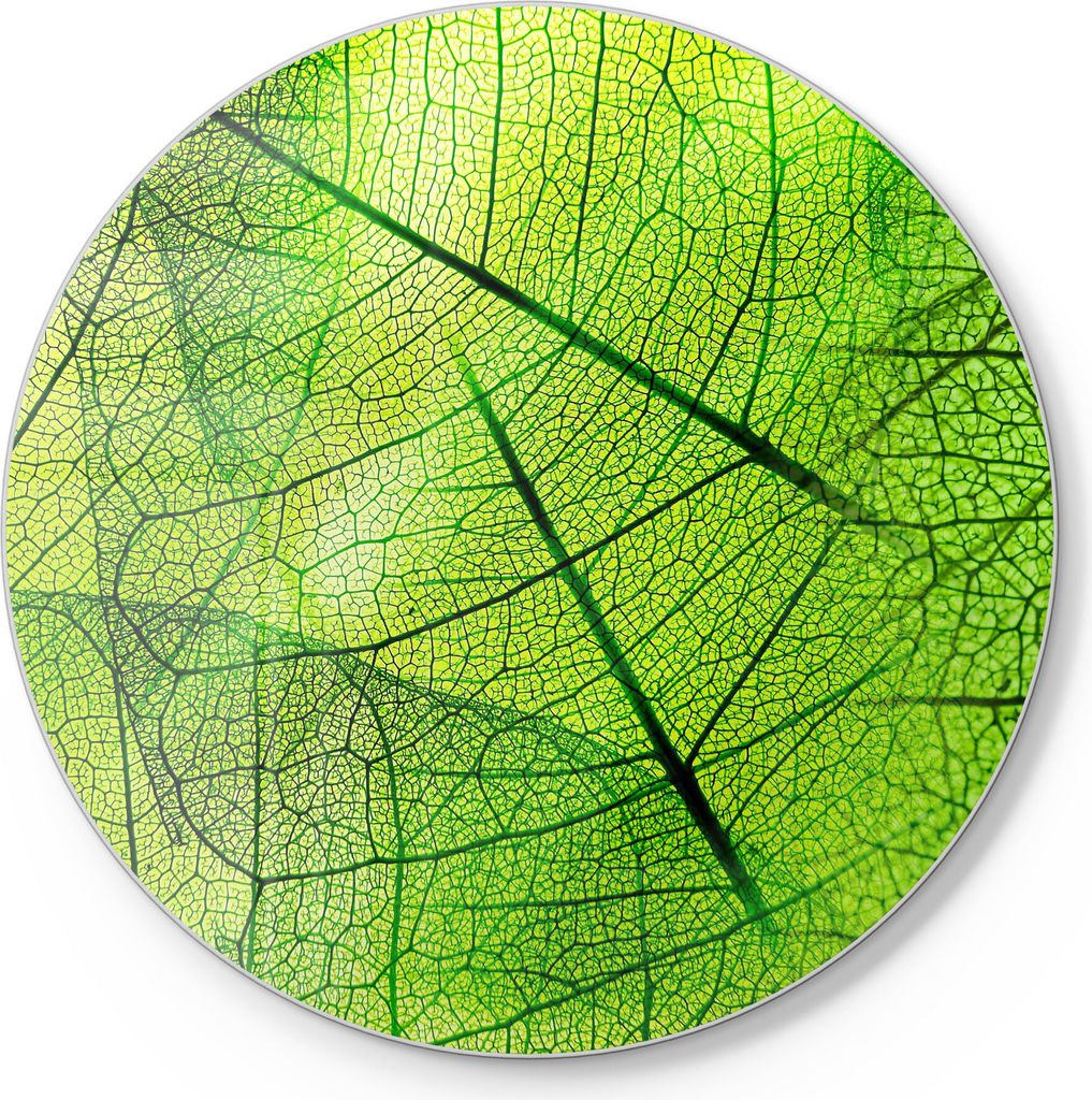 DEQORI Schneidebrett Glas Ø30 cm 'Transparente Laubblätter' Schneideplatte groß