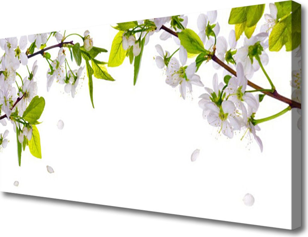 Tulup Leinwand-Bilder 100x50 Wandbild Canvas Kunstdruck Blumen Blätter Natur