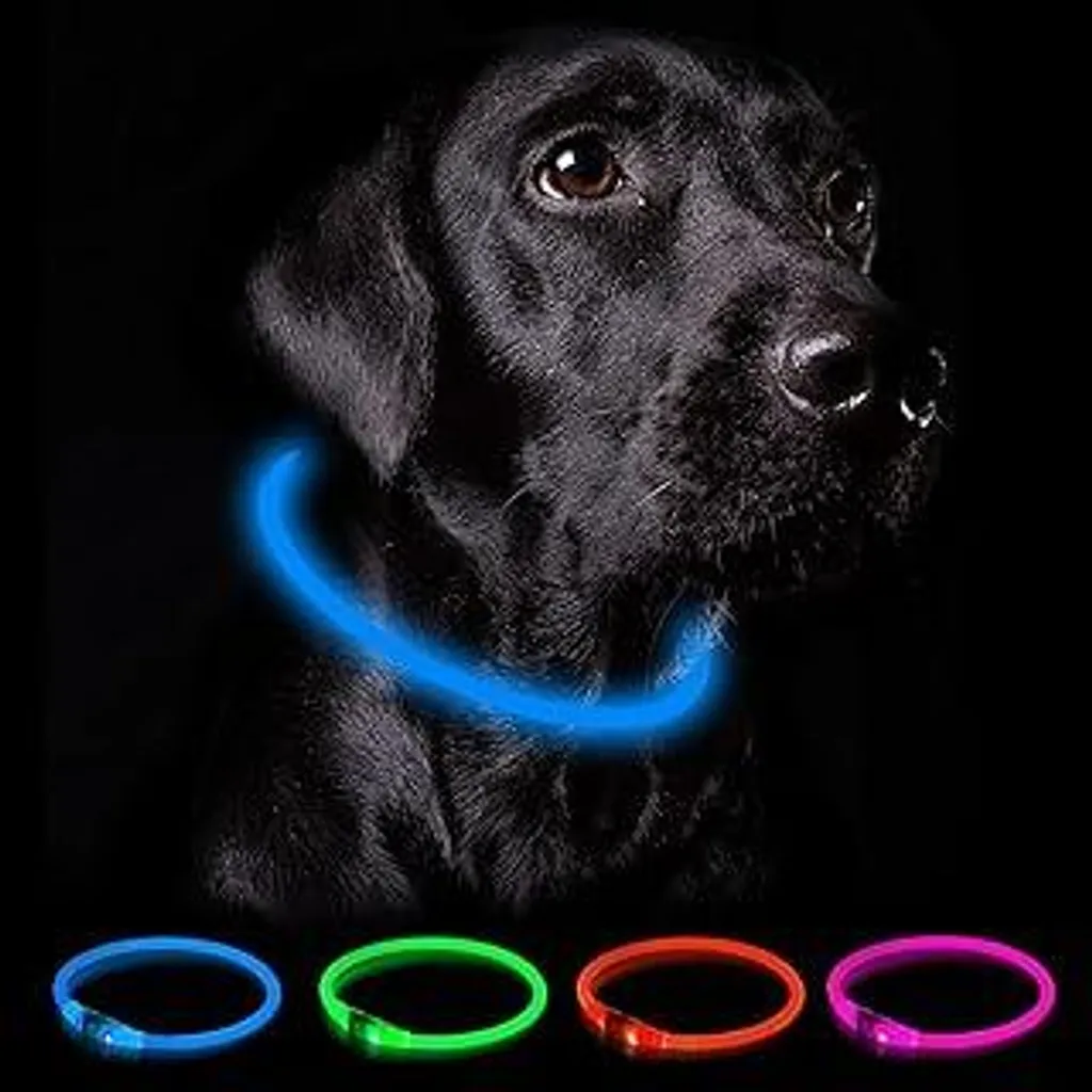 Nepfaivy Collare LED Outdoor: Trekking Notturno Cani Sicuro USB