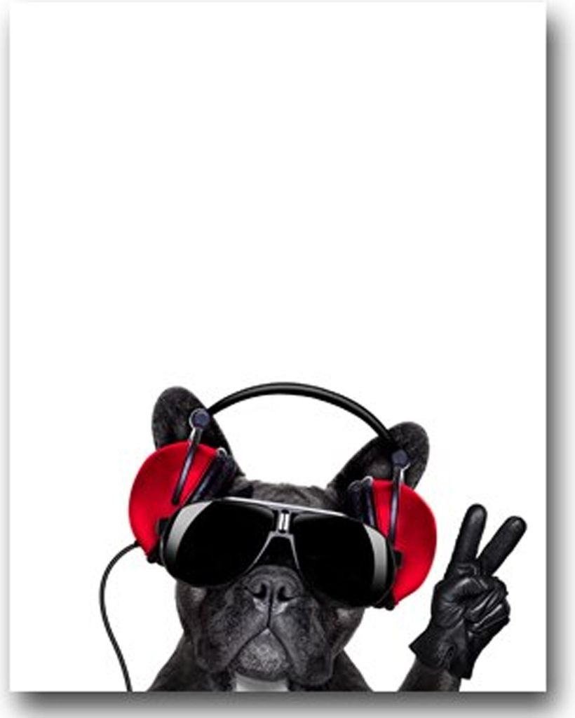 TPFLiving Kunstdruck LW-711 (OHNE RAHMEN) Poster - Leinwand - Wandbild - Hochauflösender Giclée-Druck, langlebig und hochwertig - Lustige Hunde m...