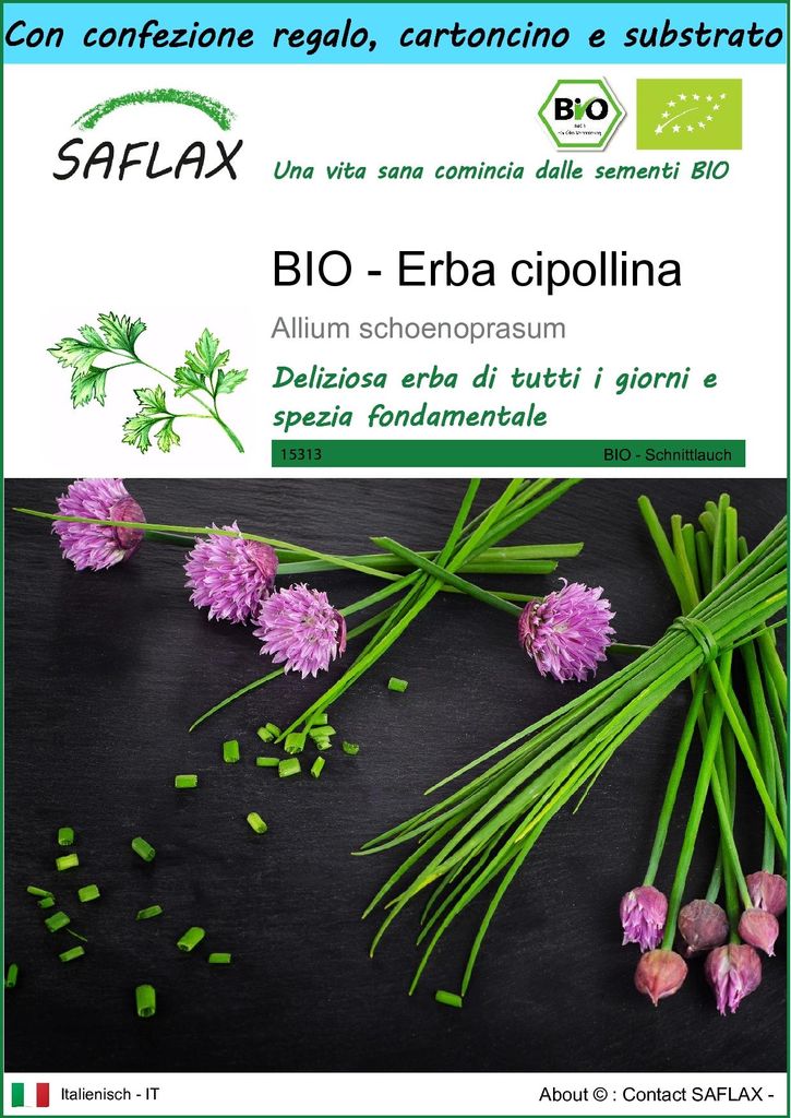 SAFLAX Set regalo -- Erba cipollina - 250 semi - Allium Immagine del prodotto 