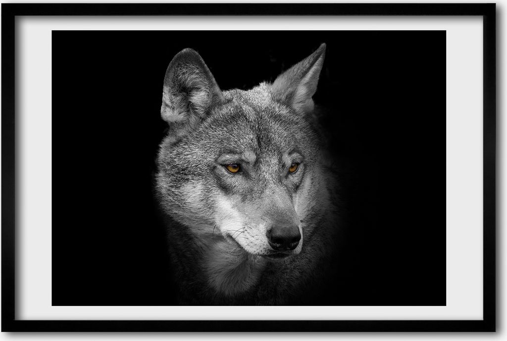 Bild 60x40 MDF-Rahmen, Wandkunst Wolf