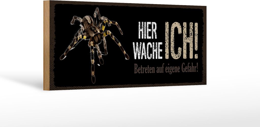 Holzschild Hinweis Spinne hier wache ich eigene Gefahr, 27 x 10 cm, Holzschilder Tiere Achtung