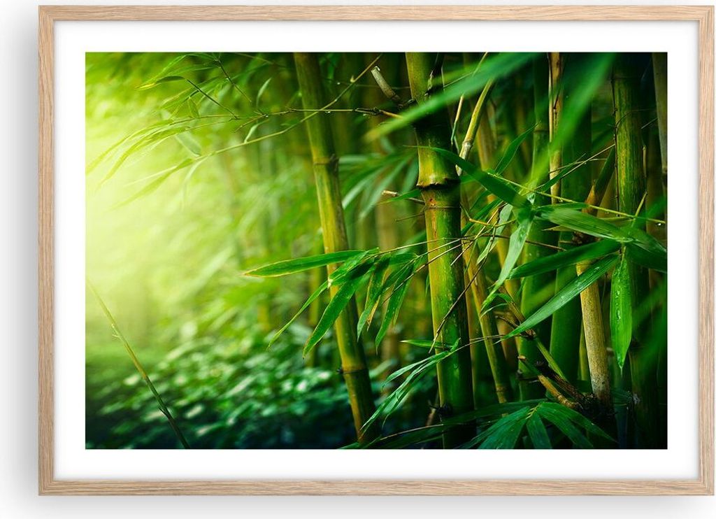 Gerahmtes Poster - Rahmen in heller Eiche - Bambus Pflanze - 70x50 cm - Wand Bild - Wanddeko - Wandbilder - Kunstposter - Wandposter - Bilderrahmen...