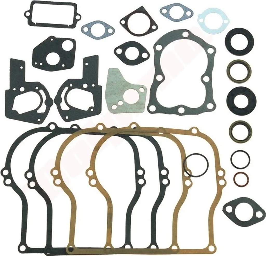 Pochette de joints moteur Briggs & Stratton 397145 495603 motoculture