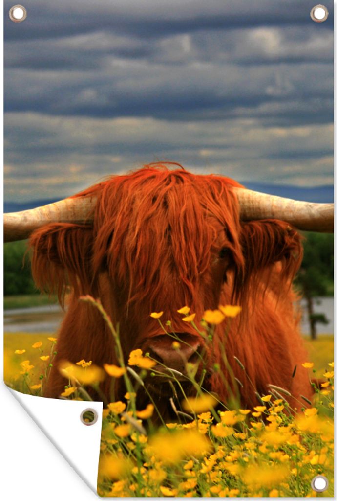 MuchoWow 80x120 cm Outdoor-Poster Gartendeko Sichtschutz Garten Poster für den Garten Schottischer Highlander - Tiere - Blumen
