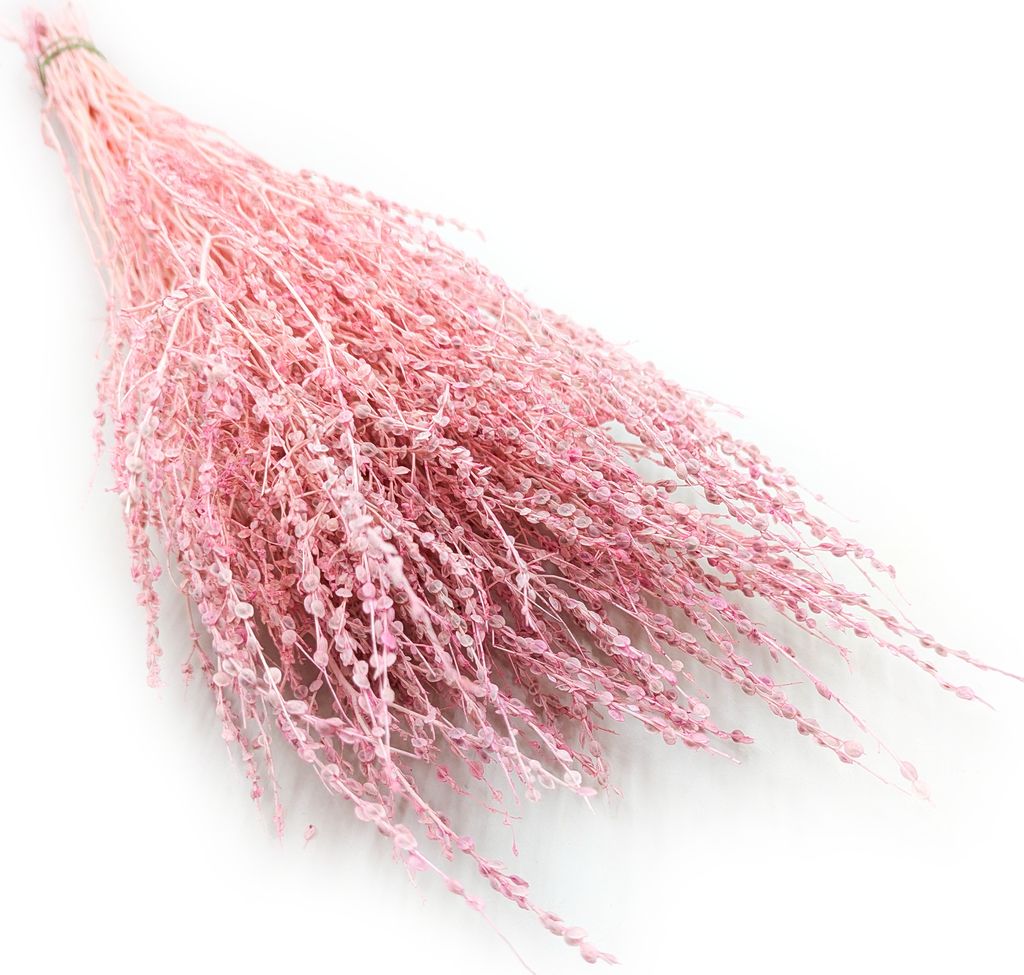 Lepidium (Lepidium sativum) - Rosa