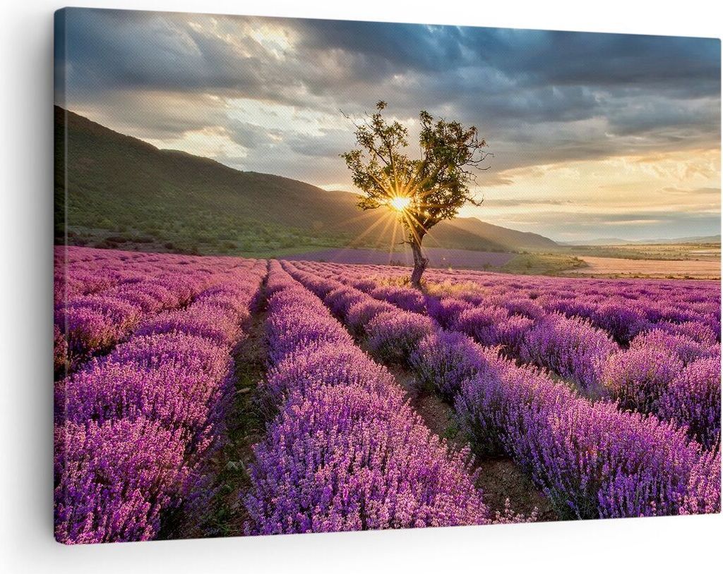 Bild auf Leinwand - Leinwandbild - Lavendel Berge Feld - 70x50cm - Wand Bild - Wanddeko - Wandbilder - Leinwanddruck - Bilder - Kunstdruck - Wandde...