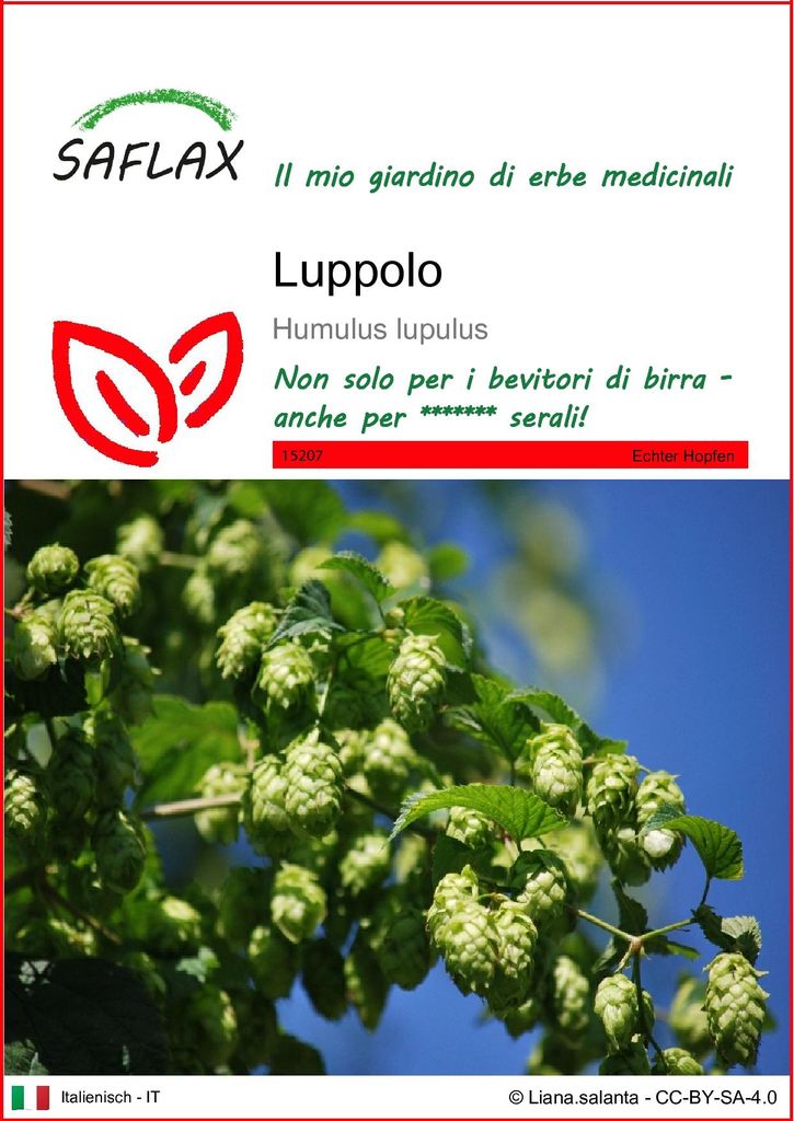 SAFLAX  - Luppolo - 50 semi - Humulus Immagine del prodotto 