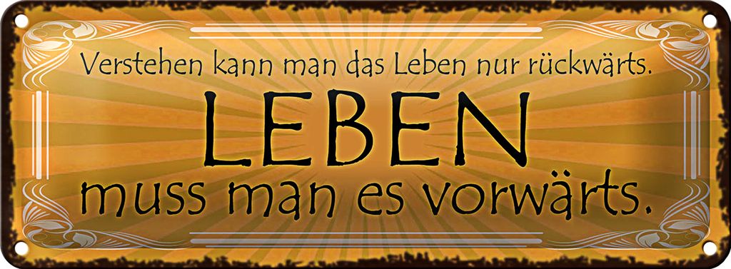 Blechschild Spruch 27x10cm Leben muss man es vorwärts Dekoration