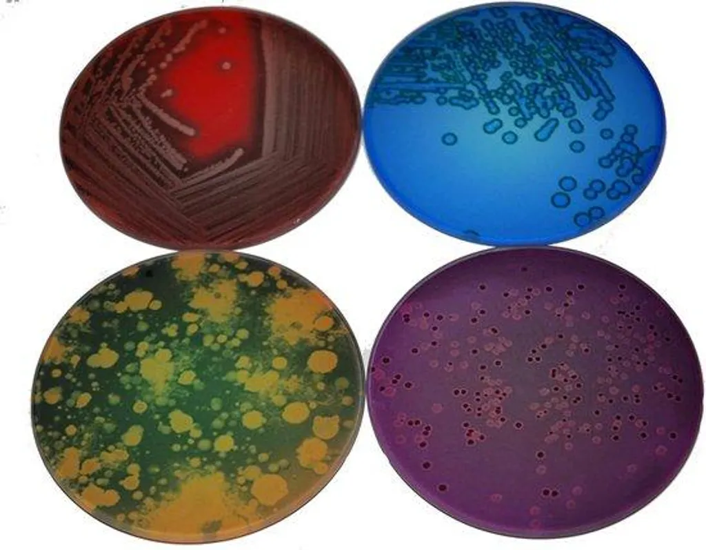 Sous-verres Petri Dish anti-taches - Protection table style chimie