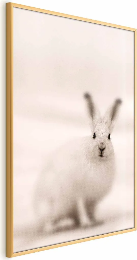 Poster Sguardo Timoroso 60x90 con Cornice Dorata - Qualità Premium Online